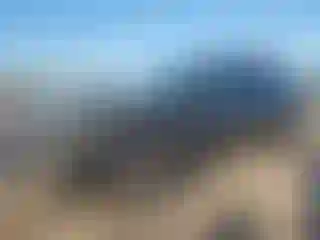 Vehicle Image- 2025 Subaru Outback