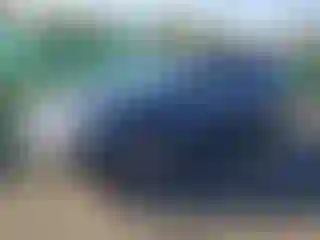 Vehicle Image- 2021 Subaru Outback