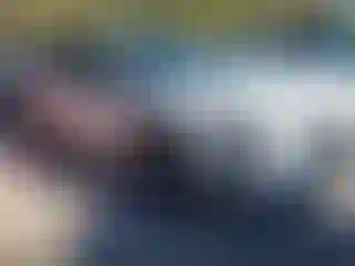 Vehicle Image- 2024 Subaru Outback