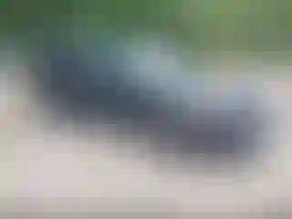 Vehicle Image- 2023 Subaru Outback