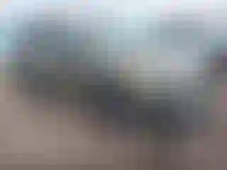 Vehicle Image- 2023 Subaru Outback