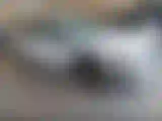 Vehicle Image- 2024 Subaru Outback