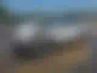 Vehicle Image- 2024 Subaru Outback