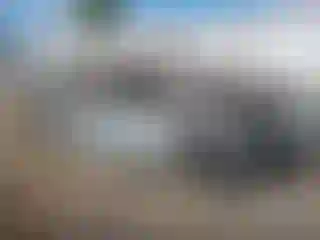 Vehicle Image- 2020 Subaru Outback