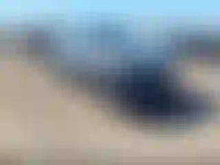 Vehicle Image- 2024 Subaru Outback