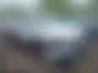 Vehicle Image- 2022 Subaru Outback