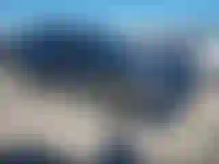 Vehicle Image- 2024 Subaru Outback