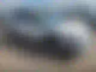 Vehicle Image- 2024 Subaru Outback