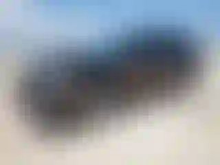 Vehicle Image- 2024 Subaru Outback