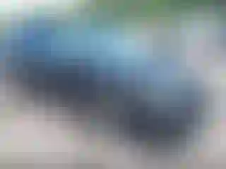 Vehicle Image- 2025 Subaru Outback