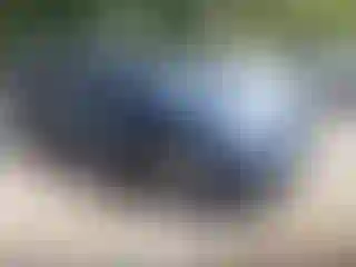 Vehicle Image- 2022 Subaru Ascent