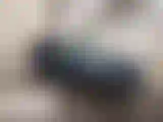 Vehicle Image- 2023 Subaru Ascent