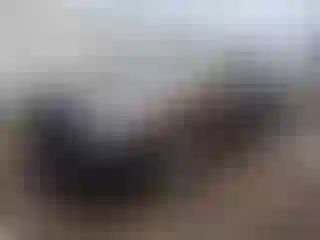 Vehicle Image- 2019 Subaru Ascent