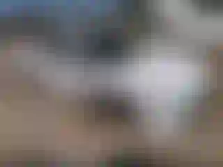 Vehicle Image- 2021 Toyota Avalon