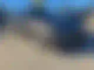 Vehicle Image- 2019 Toyota Camry