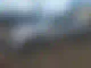 Vehicle Image- 2019 Toyota Camry