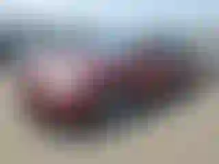 Vehicle Image- 2005 Toyota Camry