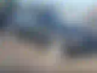 Vehicle Image- 2008 Toyota Camry