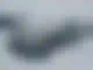 Vehicle Image- 2008 Toyota Camry