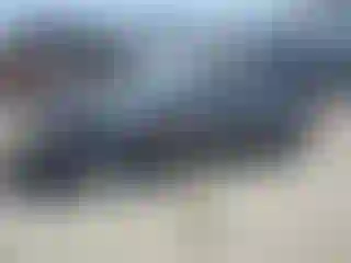 Vehicle Image- 2007 Toyota Camry