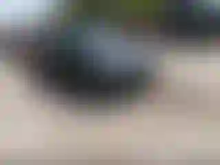 Vehicle Image- 2018 Toyota Avalon