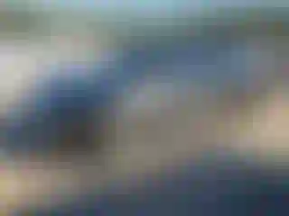 Vehicle Image- 2018 Toyota Avalon