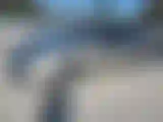 Vehicle Image- 2014 Toyota Avalon