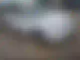 Vehicle Image- 2005 Toyota Camry