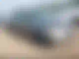 Vehicle Image- 2004 Toyota Camry