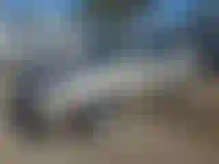 Vehicle Image- 2006 Toyota Camry