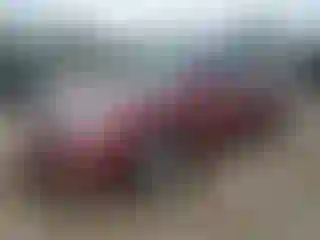 Vehicle Image- 2005 Toyota Camry