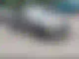 Vehicle Image- 2006 Toyota Camry