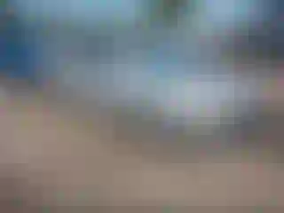 Vehicle Image- 2003 Toyota Camry