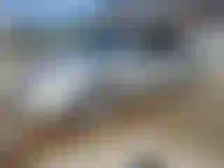 Vehicle Image- 2004 Toyota Camry
