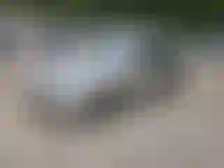 Vehicle Image- 2005 Toyota Camry