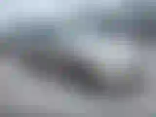 Vehicle Image- 2005 Toyota Camry