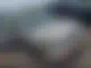 Vehicle Image- 2003 Toyota Camry
