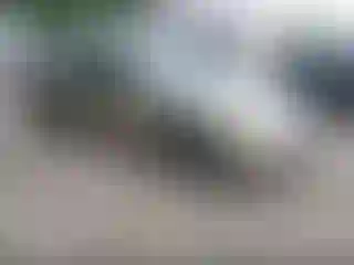 Vehicle Image- 2004 Toyota Camry