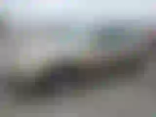 Vehicle Image- 2004 Toyota Camry