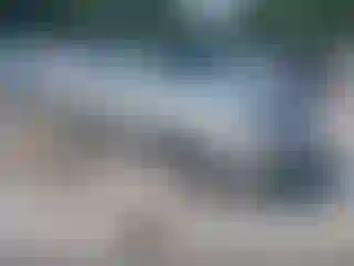 Vehicle Image- 2004 Toyota Camry