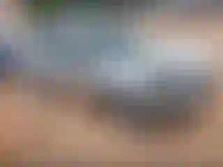 Vehicle Image- 2005 Toyota Camry