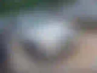 Vehicle Image- 2002 Toyota Camry