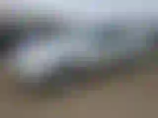 Vehicle Image- 2003 Toyota Camry