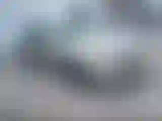 Vehicle Image- 2005 Toyota Camry