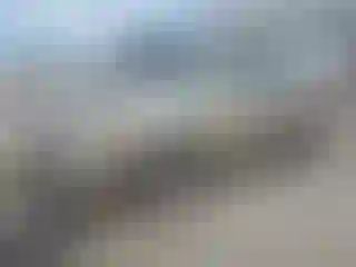 Vehicle Image- 2002 Toyota Camry
