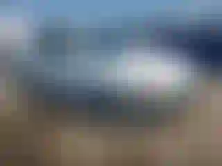 Vehicle Image- 2005 Toyota Camry