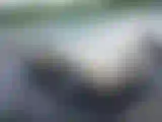 Vehicle Image- 2005 Toyota Camry