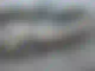 Vehicle Image- 2003 Toyota Camry