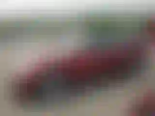 Vehicle Image- 2006 Toyota Camry