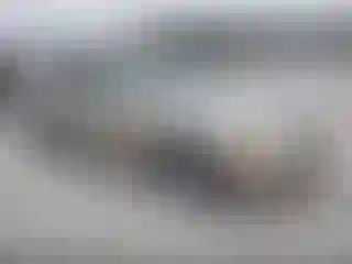 Vehicle Image- 2004 Toyota Camry